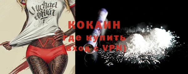 прущие грибы Новозыбков