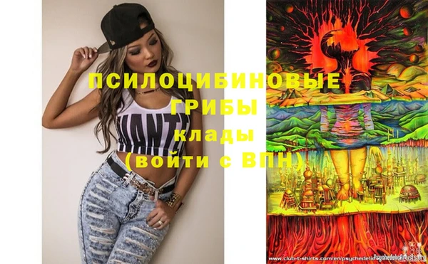 каннабис Новодвинск