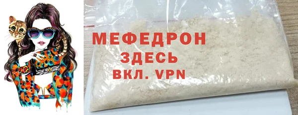 прущие грибы Новозыбков