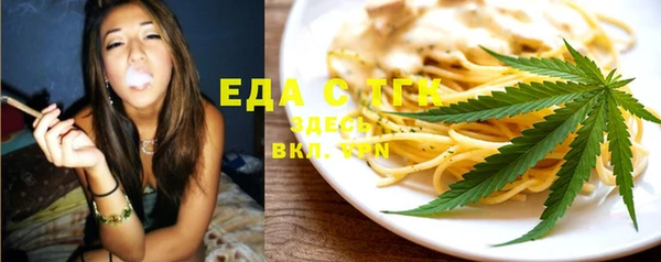 прущие грибы Новозыбков