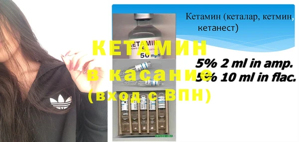 прущие грибы Новозыбков