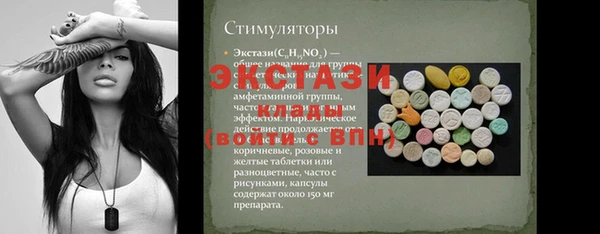 прущие грибы Новозыбков