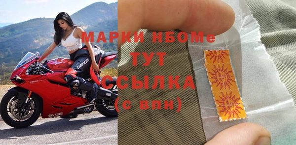 прущие грибы Новозыбков