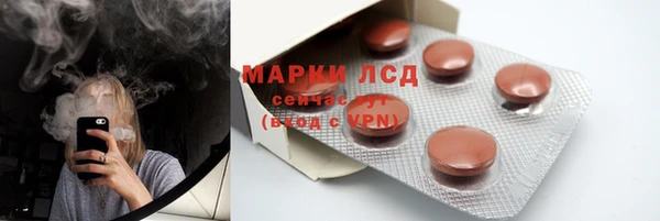 сатива Няндома