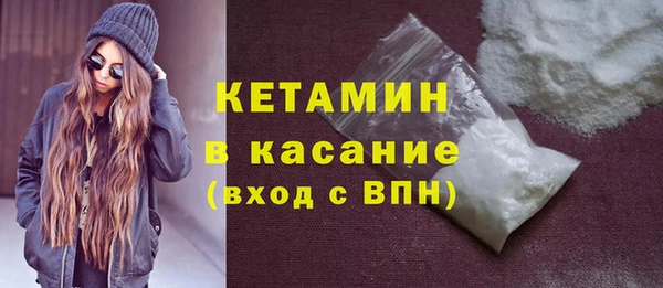 прущие грибы Новозыбков