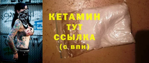 прущие грибы Новозыбков