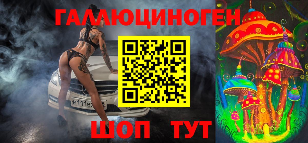 как найти закладки  Вход с VPN  Мирный  Псилоцибиновые грибы мицелий 