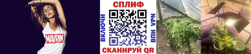 купить   Мирный  Бошки Шишки Amnesia 